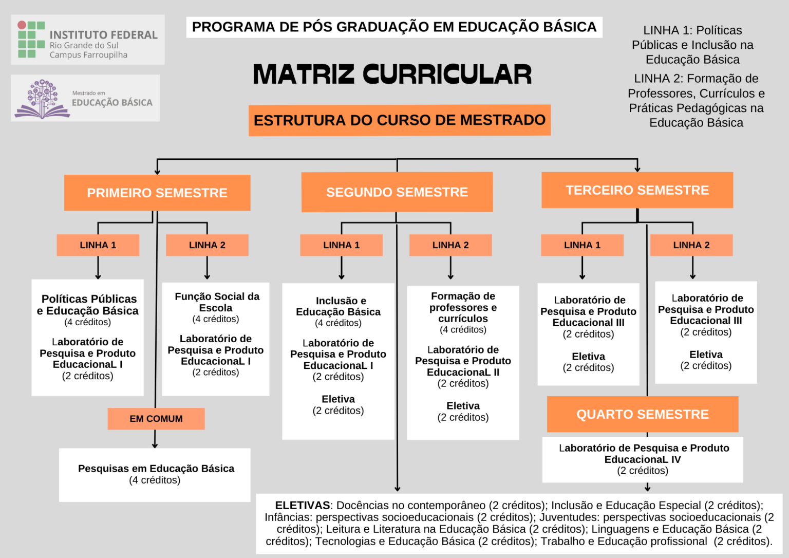 Estrutura Curricular Mestrado em Educação Básica