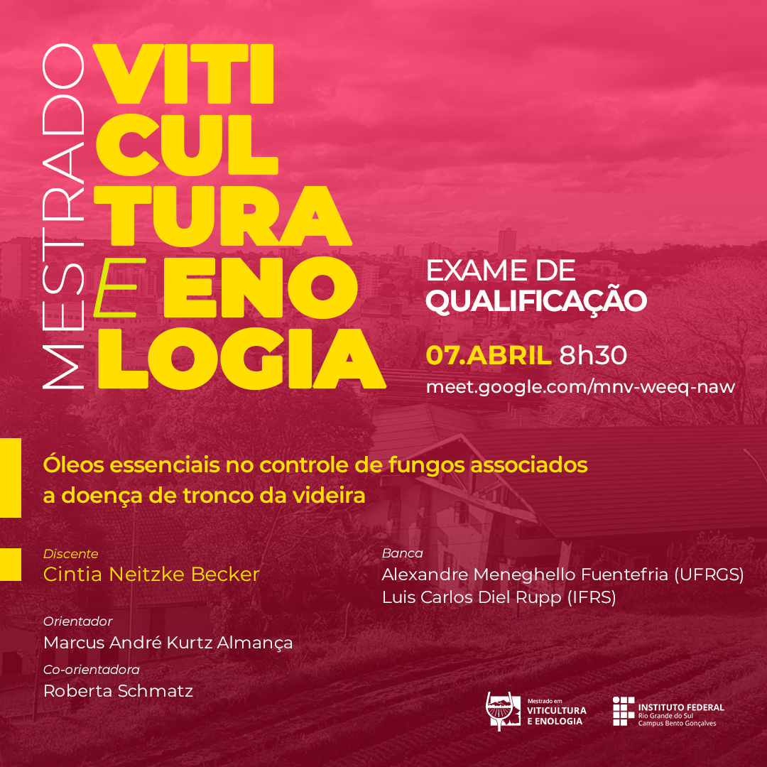 Banca de qualificação Cíntia